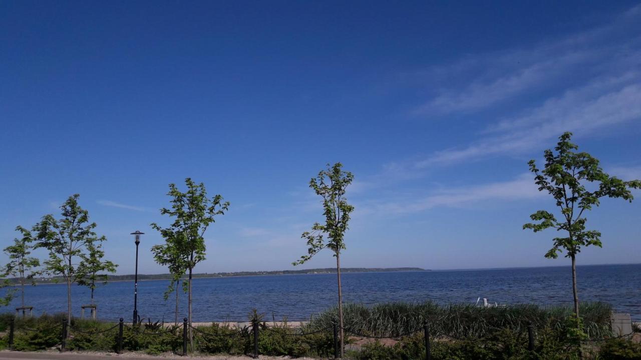 Villa U Przyjaciol Rewa Eksteriør billede